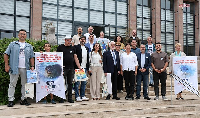 Foça'da Akdeniz fokları için uluslararası buluşma