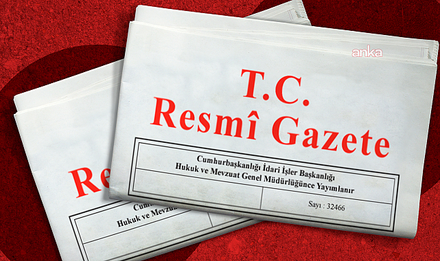 Paypole ve IQ Money'in faaliyetlerine ilişkin karar Resmi Gazete'de yayımlandı