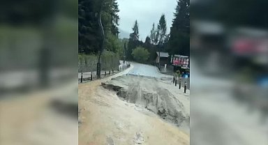 Rize'de sel ve heyelandan kaçan yavru ayılar tünele sığındı