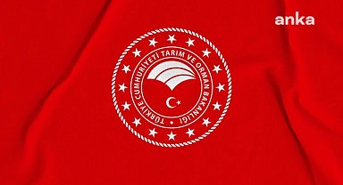 Tarım ve Orman Bakanlığı: Çekirdeksiz kuru üzüm alım fiyatı kilogram başına 120 TL olarak belirlendi