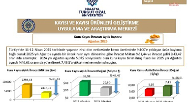 Turgut Özal Üniversitesi kuru kayısı raporu yayımlandı: Gelirler yüzde 20 azaldı