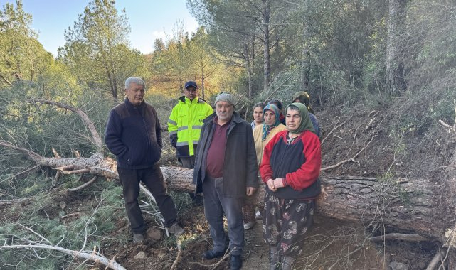 Danıştay, onlarca ağacın kesildiği İzmir'deki Belevi-Tire yolunun yapımıyla ilgili açılan davada yürütmeyi durdurdu