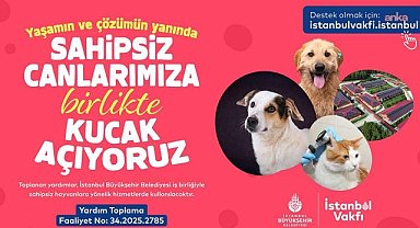 İstanbul Vakfı'ndan sahipsiz hayvanlar için dayanışma çağrısı
