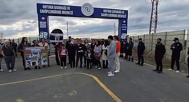 Yaşam Hakkı Savunucuları'ndan 4 Ekim açıklaması: Doğal yaşam alanları, doğal cehennem alanlarına dönüşüyor