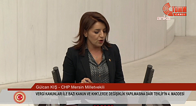 CHP'li Kış: Devleti hizmet sunan değil, yük dağıtan bir aygıta dönüştürdünüz