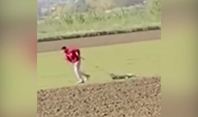 Edirne'de köpeği sürükleyen belediye personeline soruşturma
