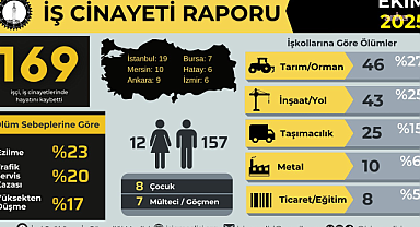 İşçi Sağlığı ve İş Güvenliği Meclisi'nin