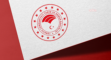 İstanbul, Uluslararası Su Formu'na 5. kez ev sahipliği yapacak 