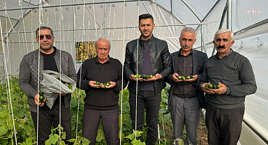 Köye Dönüş Projesi Yüksekova'da meyvelerini veriyor: Çiftçiler seralarda üretiyor