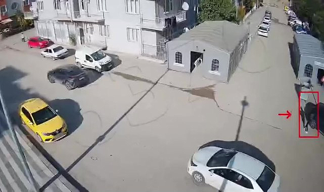 Malatya'da 430 bin liralık dolandırıcılık yapan kişi tutuklandı