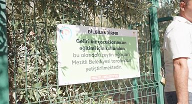 Mezitli'de zeytin ağaçları, eğitime can veriyor