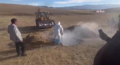 Yüksekova'da kuş gribi şüphesiyle toplanan kanatlı hayvanlar canlı gömüldü