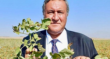 Gürer'den 'pestisit' uyarısı: 