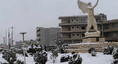 Arap Alevi derneklerinden ortak 