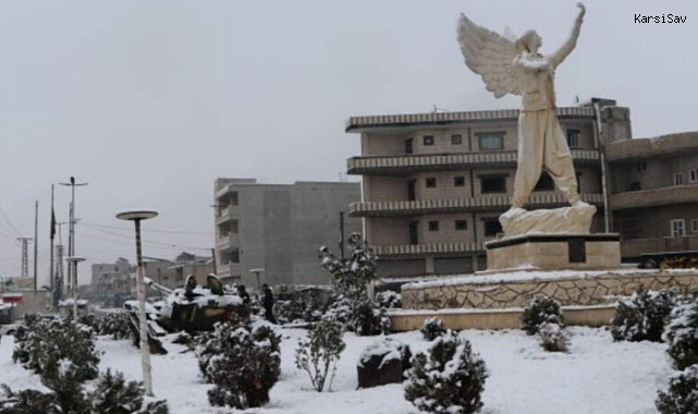 Arap Alevi derneklerinden ortak