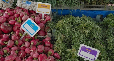 Diyarbakır'da 'Dünya Anadil Günü' kapsamında esnafa Kürtçe fiyat etiketi ve tabela dağıtıldı