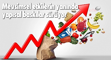 Ekonomistler ocak ayı enflasyonunu değerlendirdi: Mevsimsel etkilerin yanında yapısal baskılar sürüyor