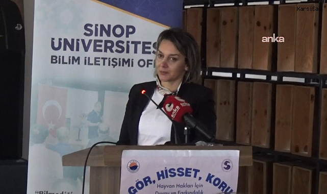 Sinop'ta