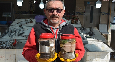 Sinop'ta 2 kilogramı bulan kavanozlarda hazırlanan lakerdalar 3 bin liradan satışa sunuluyor 