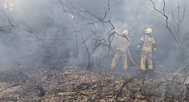 Beykoz'da 15.50'de çıkan, 18.30 gibi kontrol altına alındığı açıklanan yangın yeniden alevlendi