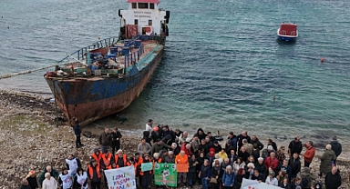 Urla Demircili Koyu'ndaki 