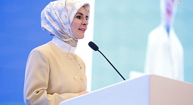 Bakan Göktaş, selden etkilenen Gaziantep ve Şanlıurfa'ya 55 milyon liralık kaynak aktarıldığını bildirdi