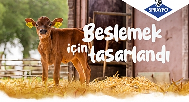 Erken Dönem Buzağı Beslemesi Yaşam Boyu Performansı Etkiliyor