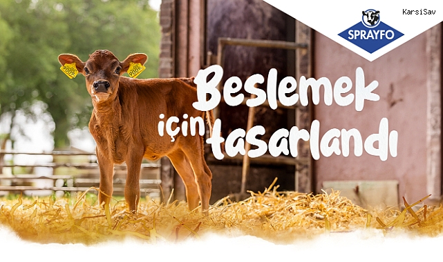 Erken Dönem Buzağı Beslemesi Yaşam Boyu Performansı Etkiliyor