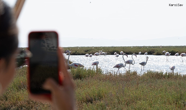Flamingo Yolu tekne turları Kurban Bayramı’nda da devam edecek