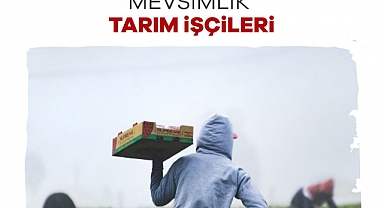 Mevsimlik tarım işçilerinin sorunları raporlaştırıldı: “İnsana yakışır yaşam herkesin hakkı”