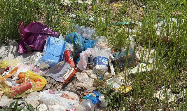 Prof. Dr. Hamdi Temel'den Plastik Kirliliği Uyarısı:
