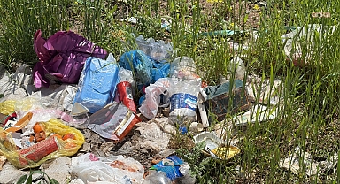 Prof. Dr. Hamdi Temel'den Plastik Kirliliği Uyarısı: