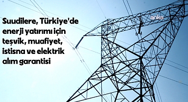 Suudilere, Türkiye'de enerji yatırımı için teşvik, muafiyet, istisna ve elektrik alım garantisi 