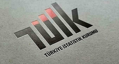 TÜİK: Tek Kişilik Hanelerin Oranı Yüzde 20,5’e Çıktı