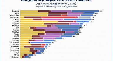 Türkiye’de Et Tüketimi Artıyor, Üretim Düşüyor: Fiyat Baskısı Derinleşiyor