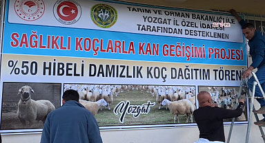 Yozgat'ta 60 besiciye 120 koç dağıtıldı 