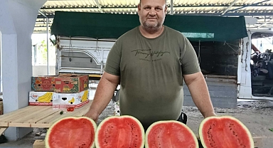 Karpuz taneyle değil, yarım alınıyor
