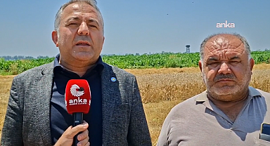 Osmaniyeli çiftçi: 
