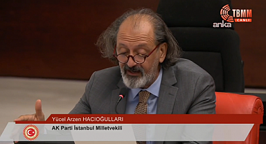 AK Partili Yücel Arzen’den Sezen Aksu ve Tarkan’a “çerçeve yasa” çağrısı