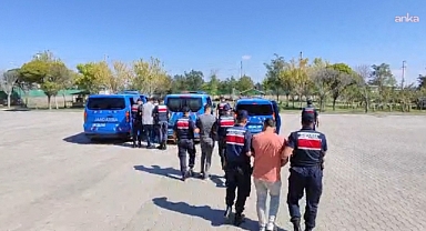 Aksaray'da köpek dövüşü yaptıran 3 kişi gözaltına alındı