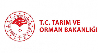 Bakanlığın gıda ifşa listesi büyüdü: Balda tağşiş, sucuk ve tantunide tek tırnaklı eti
