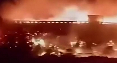 Cezayir’de orman yangınları: 159 yangın, 12 can kaybı