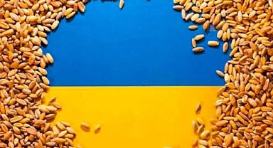 Karadeniz'de saldırılara ara önerisine Rusya'dan soğuk yanıt: Tahıl sevkiyatları yeniden risk altında