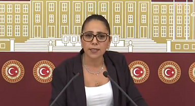 TİP Milletvekili Saliha Sera Kadıgil hakkında soruşturma başlatıldı