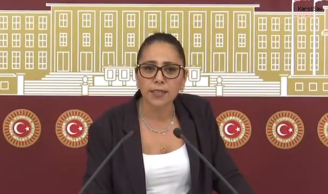 TİP Milletvekili Saliha Sera Kadıgil hakkında soruşturma başlatıldı