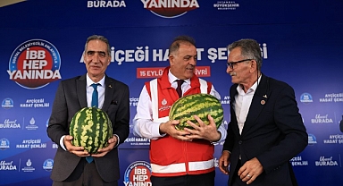 İBB’den Silivri’de ayçiçeği hasadı: 106 bin dekarlık alana tohum desteği