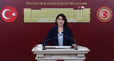 DEM Partili Aslan’dan fon soruşturması çağrısı: “Meclis gerçek bir gündemle açılmalı”