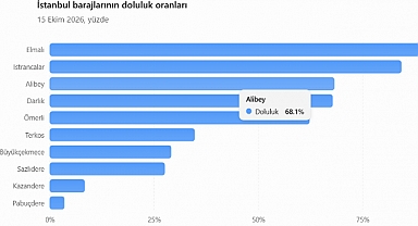 İstanbul'da barajların doluluk oranı bir günde 7,16 puan arttı: Elmalı Barajı yüzde 100'e ulaştı