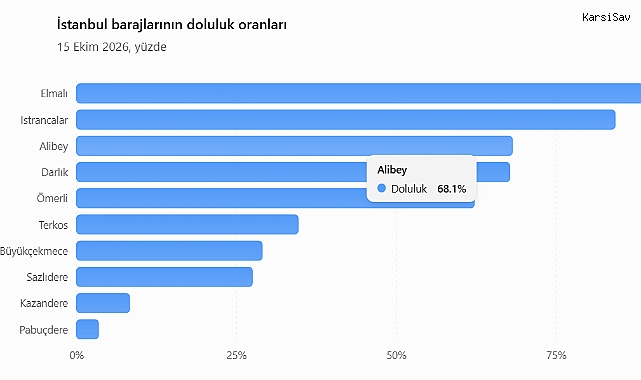 İstanbul'da barajların doluluk oranı bir günde 7,16 puan arttı: Elmalı Barajı yüzde 100'e ulaştı