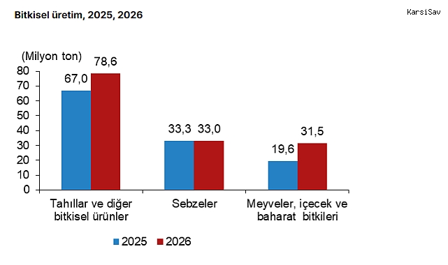 TÜİK'ten tarım tahmini: Meyve üretimi yüzde 60,8 artacak, kuru soğanda yüzde 30,8 düşüş bekleniyor